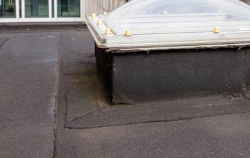 disadvantages of Lower Eype flat roofs