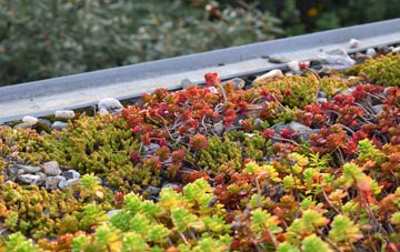 the cost of Lower Eype green roof installation