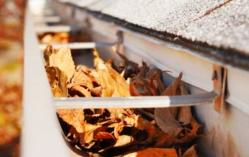 Lower Eype gutter cleaning companies