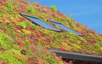Lower Eype living roof systems