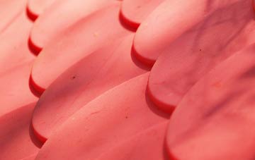 Lower Eype plastic roof costs