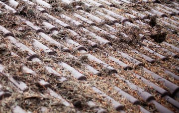 Lower Eype roof cleaning companies