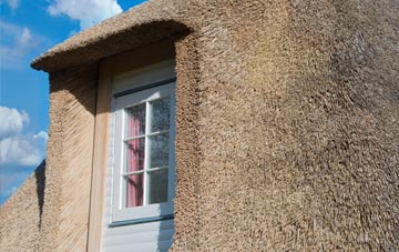 Lower Eype thatch roof disadvantages