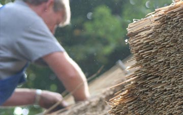 professional Lower Eype thatchers