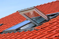 Lower Eype roof window