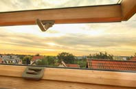rated Lower Eype roof window companies